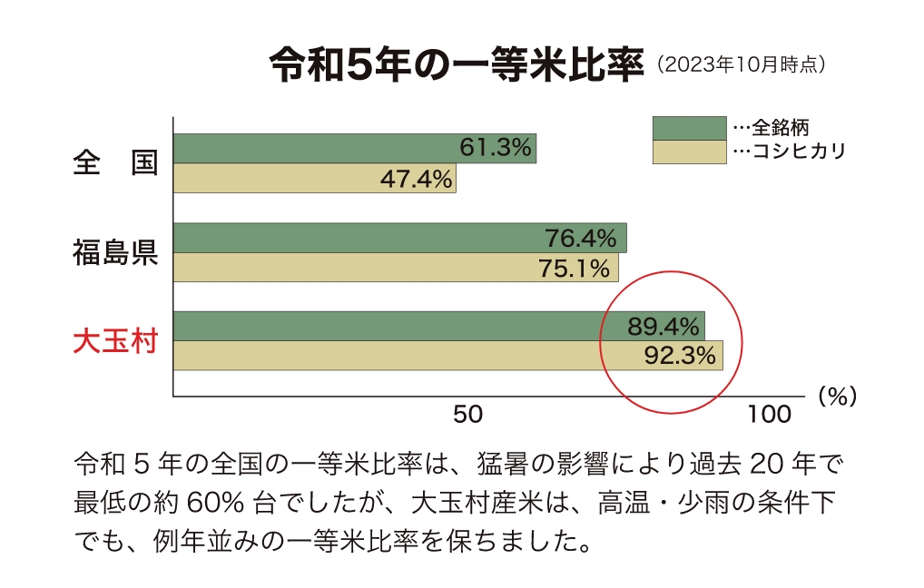 データ画像