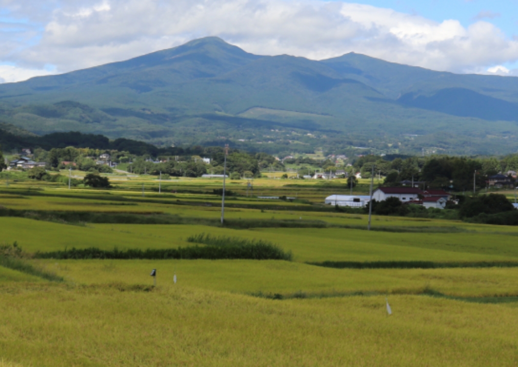 「大玉村」名前の由来